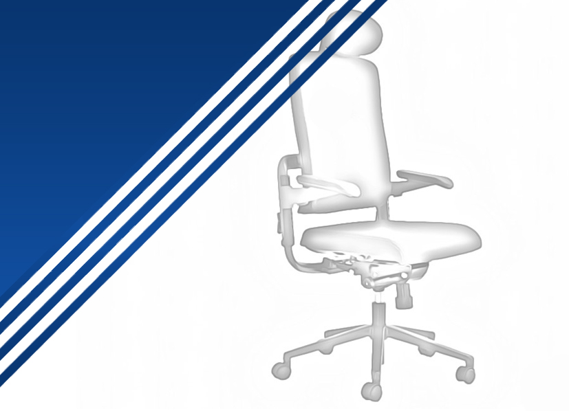 Διευθυντικό Κάθισμα Sense D Διευθυντικό Κάθισμα Sense D