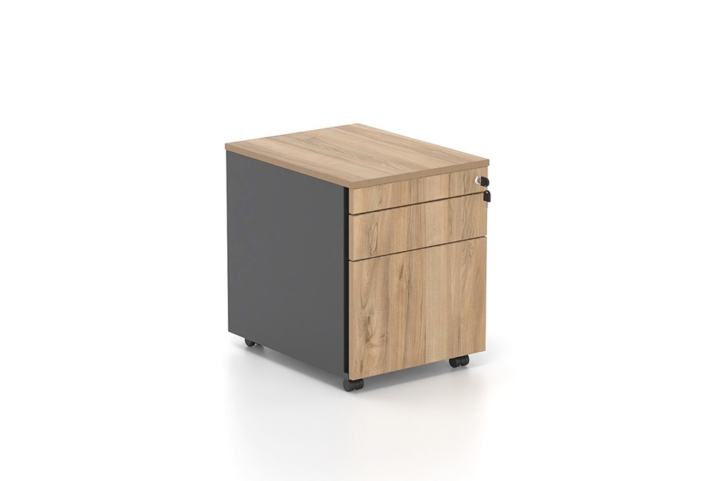 ΣΥΡΤΑΡΙΕΡΑ ΜΟΛΥΒΟΘΗΚΗ ΑΝΘΡΑΚΙ-ΚΑΡΥΔΙΑ