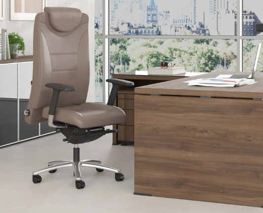 Καθίσματα διευθυντικά